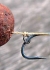 Korda Rig Ring